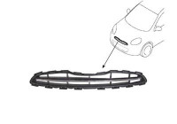 Radiator Grille