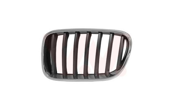 Radiator Grille