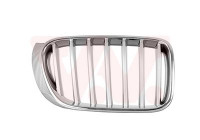 Radiator Grille