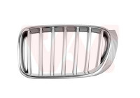 Radiator Grille