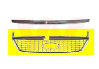 Radiator Grille
