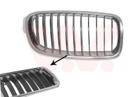 Radiator Grille
