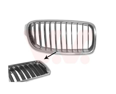 Radiator Grille