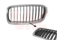 Radiator Grille