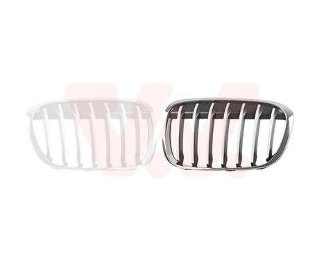 Radiator Grille