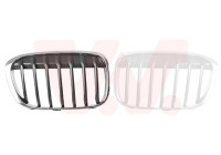 Radiator Grille