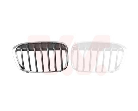 Radiator Grille