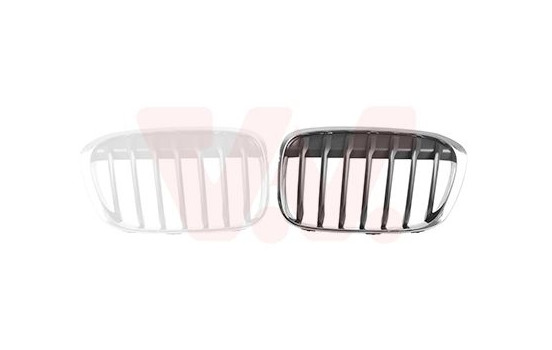 Radiator Grille