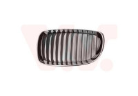 Radiator Grille