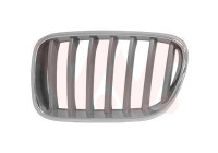 Radiator Grille