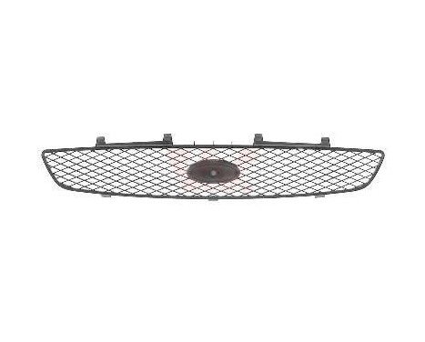 Radiator Grille, Image 2