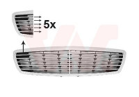 Radiator Grille