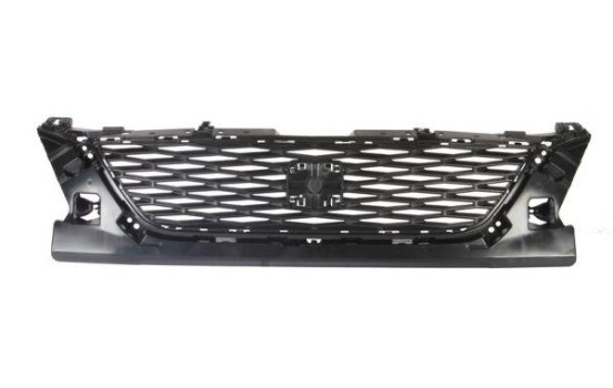 Radiator Grille
