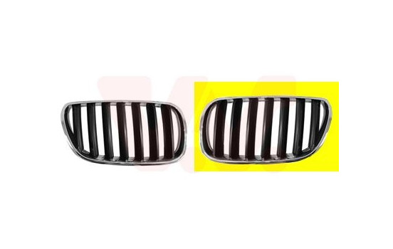 Radiator Grille