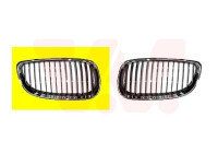 Radiator Grille
