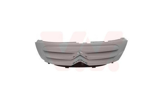 Radiator Grille, Image 2