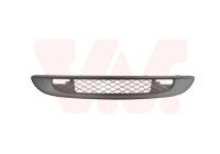 Radiator Grille