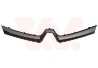 Radiator Grille
