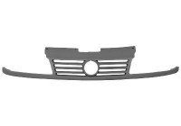 Radiator Grille