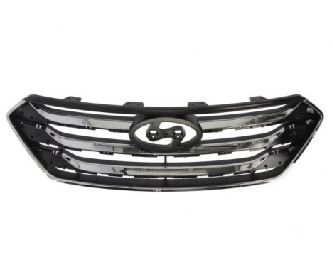 Radiator Grille