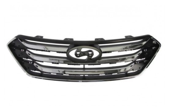 Radiator Grille