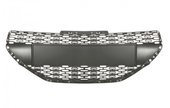 Radiator Grille