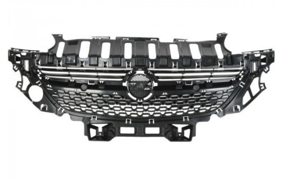 Radiator Grille