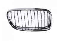 Radiator Grille