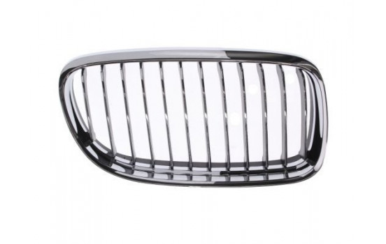 Radiator Grille