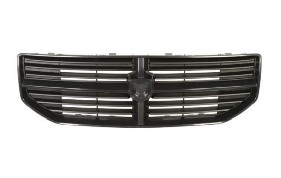 Radiator Grille