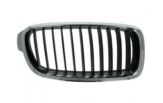 Radiator Grille