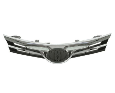 Radiator Grille