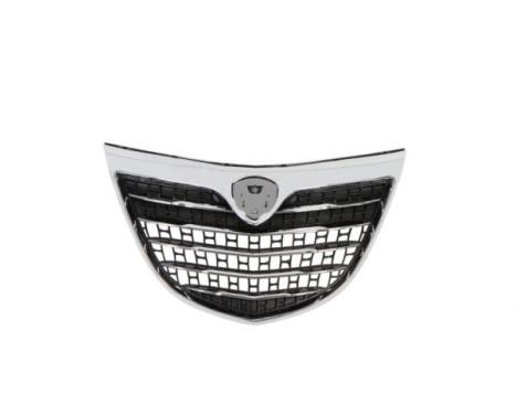 Radiator Grille
