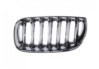 Radiator Grille
