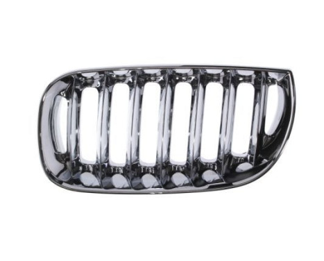 Radiator Grille