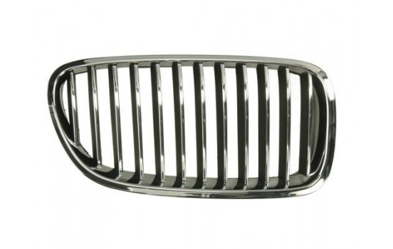 Radiator Grille