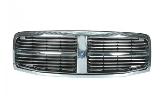 Radiator Grille