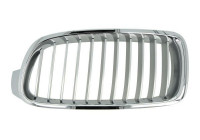 Radiator Grille