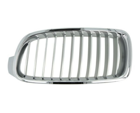 Radiator Grille
