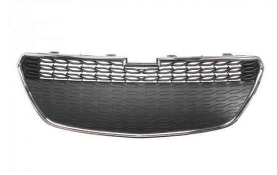 Radiator Grille
