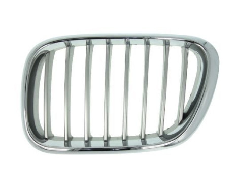 Radiator Grille