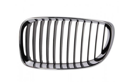 Radiator Grille