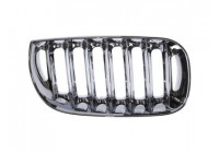Radiator Grille