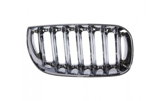 Radiator Grille