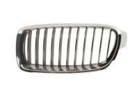Radiator Grille