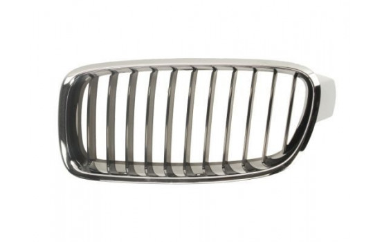 Radiator Grille