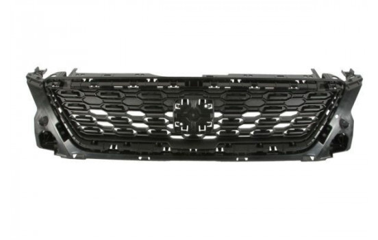 Radiator Grille