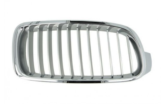 Radiator Grille