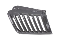 Radiator Grille