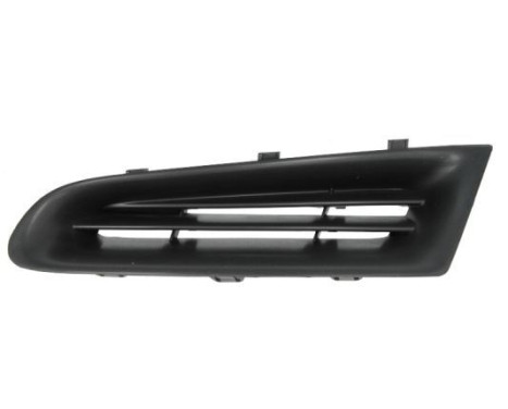Radiator Grille
